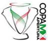 Cúp Torneo Interliga Mexuco