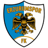 Erzurum BB logo