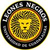 Leones Negros