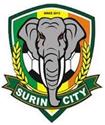 Surin City