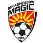 Broadmeadow Magic