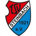 TSV Steinbach Haiger