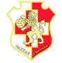 Naxxar Lions