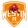 Foshan Athletics Nữ