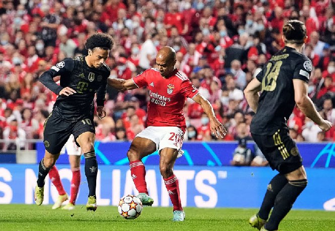 Nhận định đội Bayern Munich vs đội Benfica 3h00 ngày 07/11/2024: Hùm xám trút giận