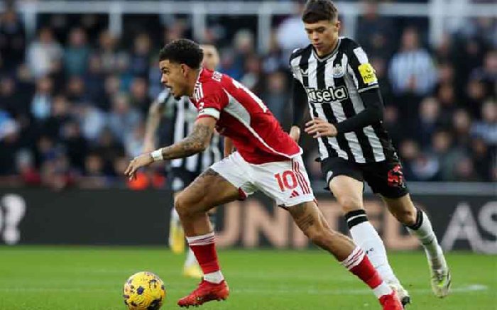 Nhận định Newcastle vs Nottingham 21h00 ngày 23/2/2/2025: Ngày của Chích Chòe