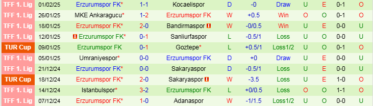 Nhận định Fenerbahce vs Erzurumspor 0h30 ngày 6/2/2025: Chủ nhà thắng dễ - Ảnh 2